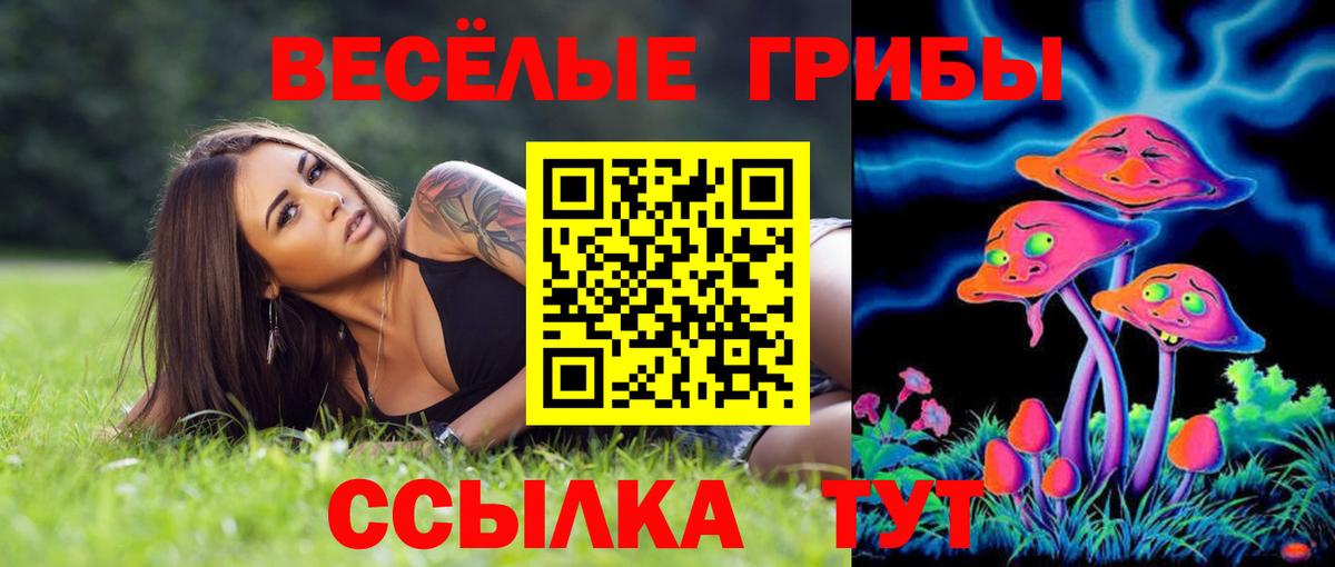 Нарткала  Псилоцибиновые грибы мухоморы  Вход с VPN  Псилоцибиновые грибы мухоморы 